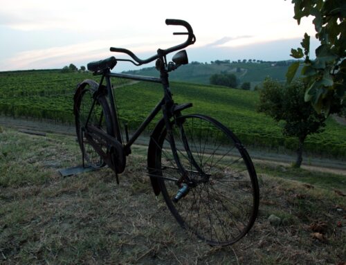 Pagadebit del Podere La Berta