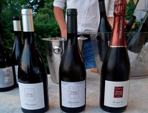 Dalla Francia all’Oltrepò pavese: Pinot Nero e Prime Alture